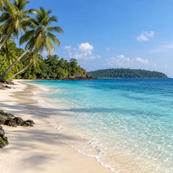 Tropical beach and palm trees in the Andaman Islands